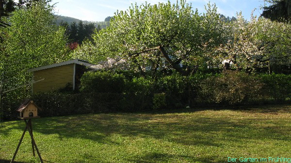 Der Garten im Frhling